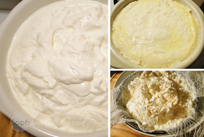 Fresh Pressed Cottage Cheese