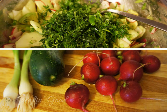 Refreshing Cucumber & Radish Salad